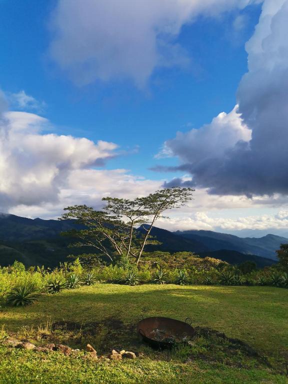 a green field with a tree and mountains in the background at The Trogon Knuckles in Rangala