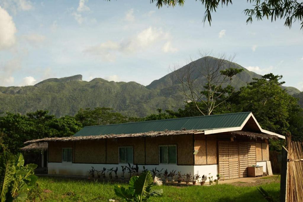 a house with a green roof with mountains in the background at Hill Myna Vacation House in Nagpoyopoyo Island