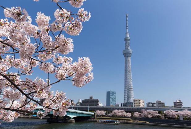 SunRiseStay Yahiro House八広一戸建て
