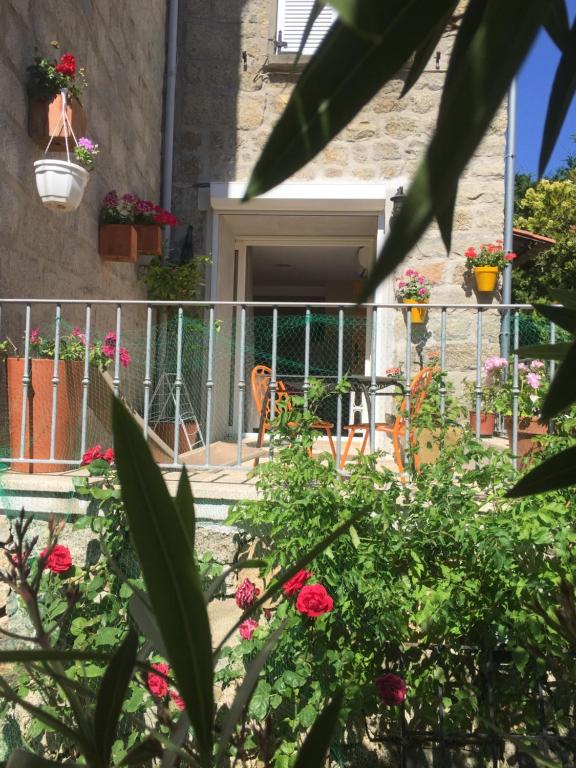 Santa-Lucia-di-TallanoにあるMaison de Vacances - Casa Mezanaccia avec Terrasse fleurie meublé tourisme 3 étoilesの花と植物のバルコニー付きの家
