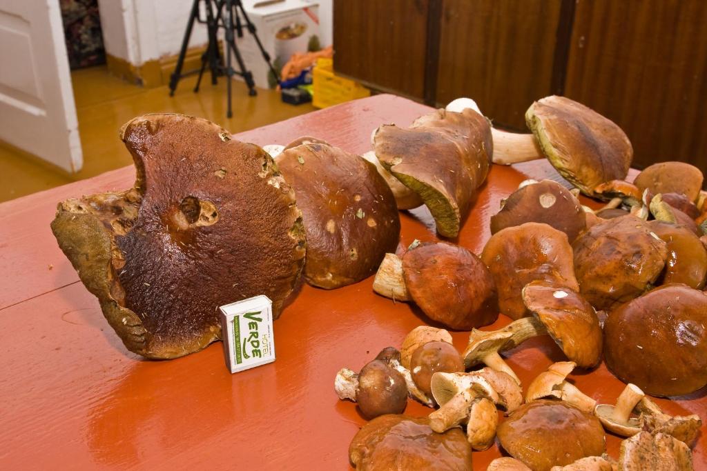 Fotografie z fotogalerie ubytování Agroturystyka Sominy Piotr v destinaci Sominy