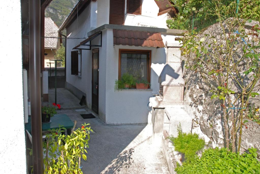 Zahrada ubytování Apartment Vito