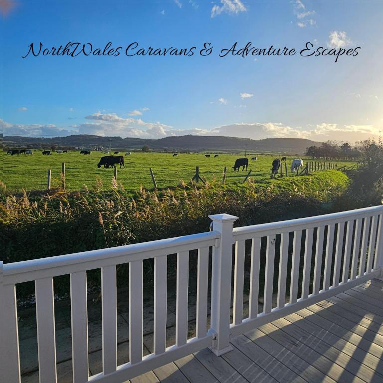 a group of cows grazing in a field behind a fence at Park Dean Resorts Premium plot with Mountain view & Decking in Abergele