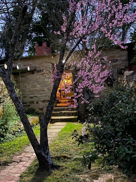 a tree with purple flowers on it in a yard at Ouma se Plaashuis - Martine se kamer in Van Reenen