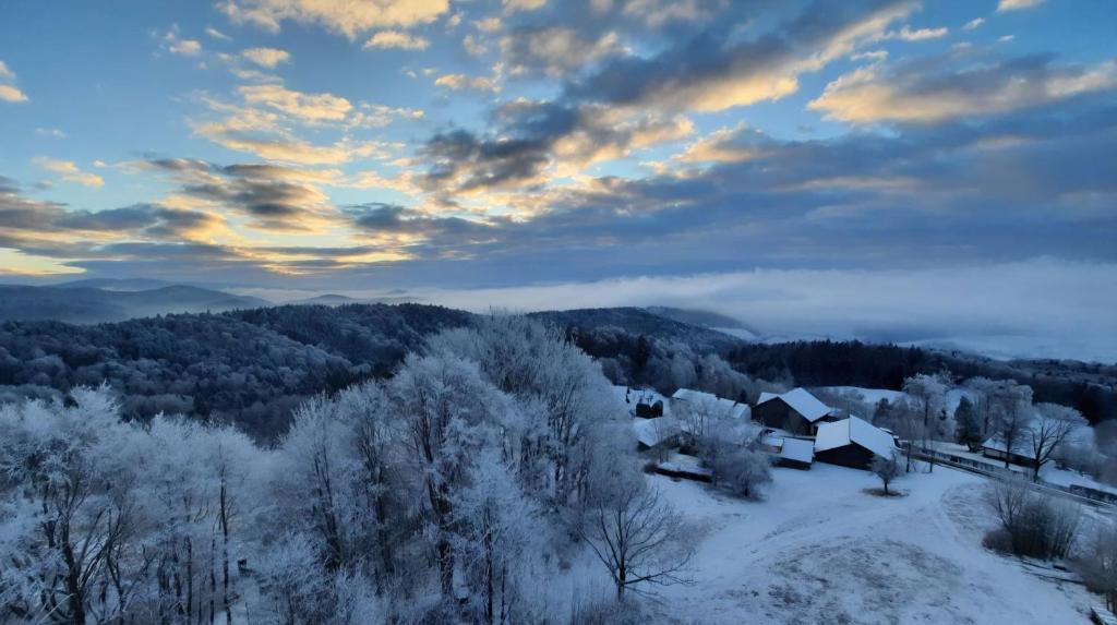 uma casa numa colina coberta de neve em Traumblick Bayerischer Wald, Pool & Sauna, Getränke, Klimaanlage em Freyung