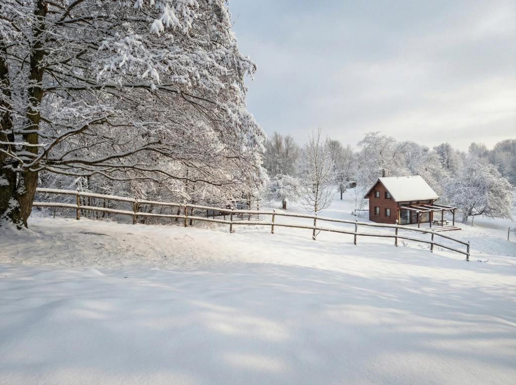 een met sneeuw bedekt veld met een hek en een schuur bij Osada Krasne - Noclegi Blisko Natury in Bukowiec