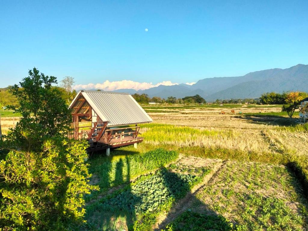 a cabin in a field with mountains in the background at Ricefield Homestay มองนาภูคาน่านโฮมสเตย์ in Ban Thon (1)