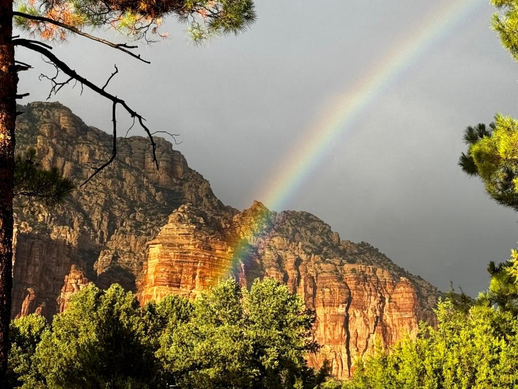 塞多纳Sedona Quail Hollow Retreat的树丛前的彩虹