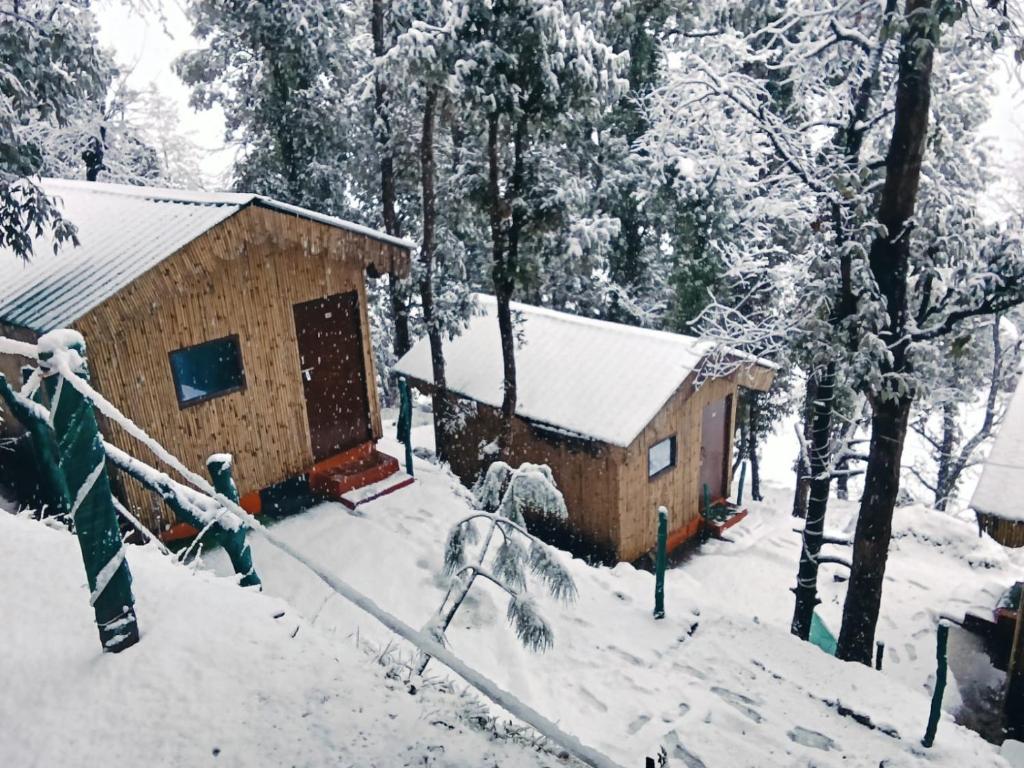 a house covered in snow in front of trees at TTN - The Trekker's Nest in Joshīmath