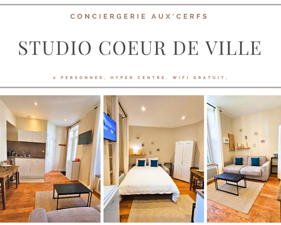 Et opholdsområde på Aux'Cerfs - Studio coeur de ville