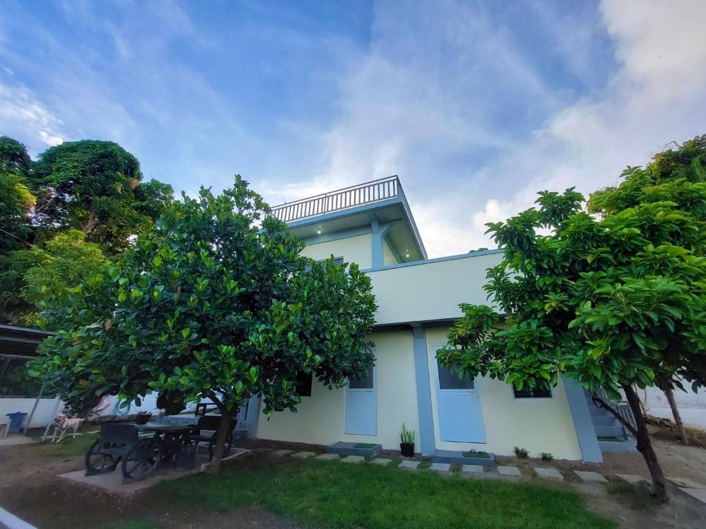 a blue building with trees in front of it at Mountain View Anilao in Mabini