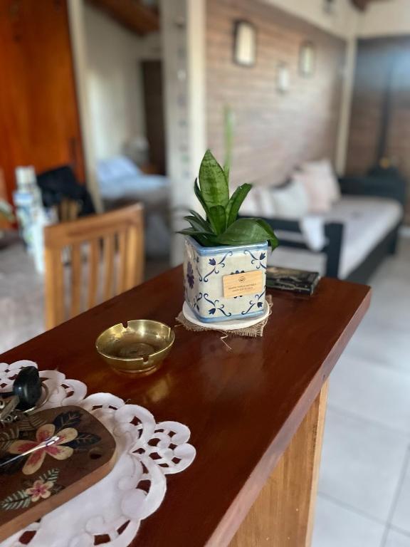 a potted plant sitting on top of a wooden table at Un Sueño in San Rafael