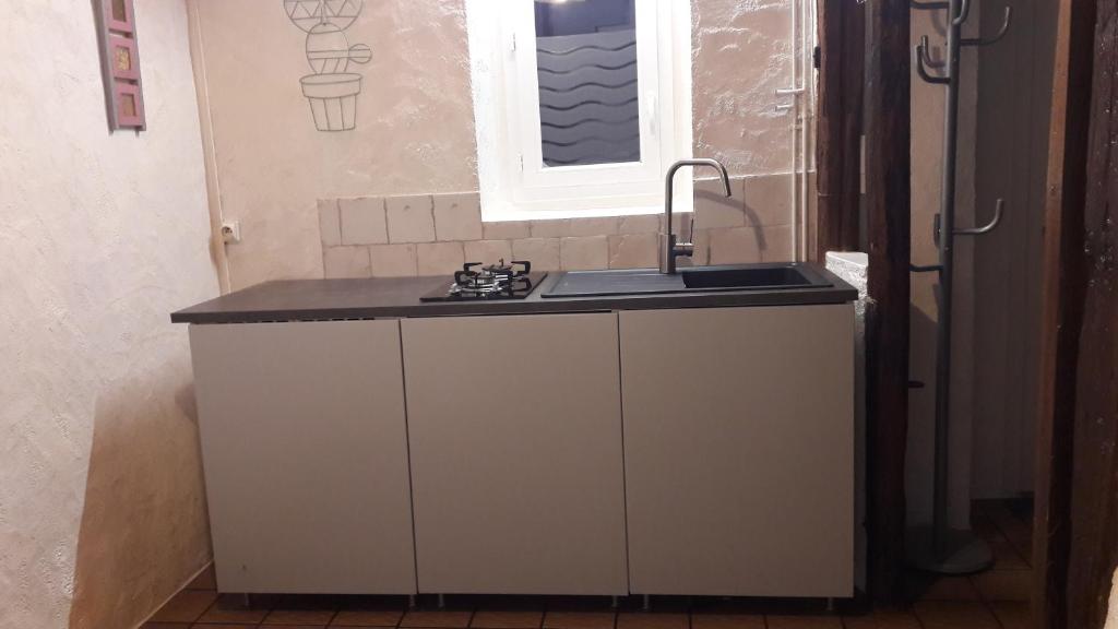 een keuken met een spoelbak en een raam bij LA Chataigne in Santranges