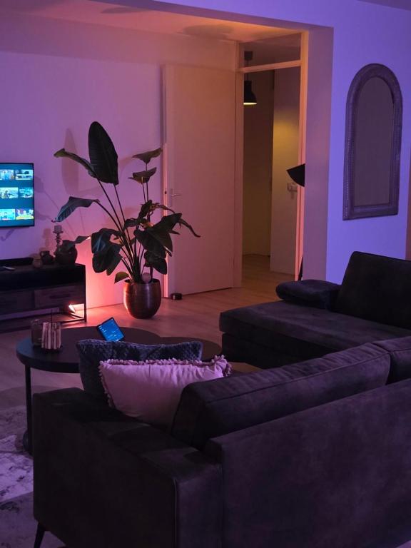 Khu vực ghế ngồi tại Hermitage Suites & Apartments - Amsterdam Zaandam