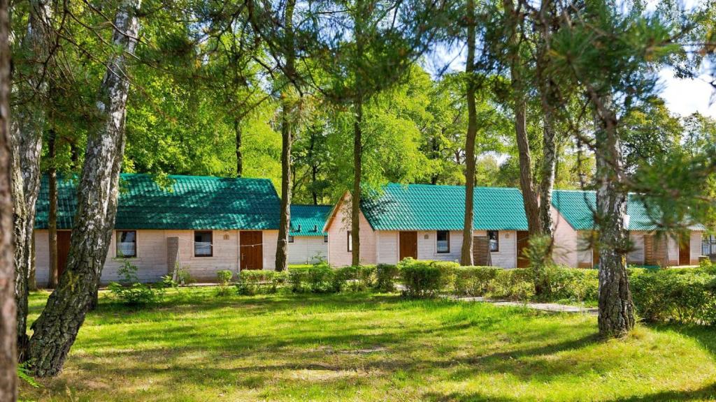 a house with a green roof in a forest of trees at O.W.Cynamon in Dziwnów