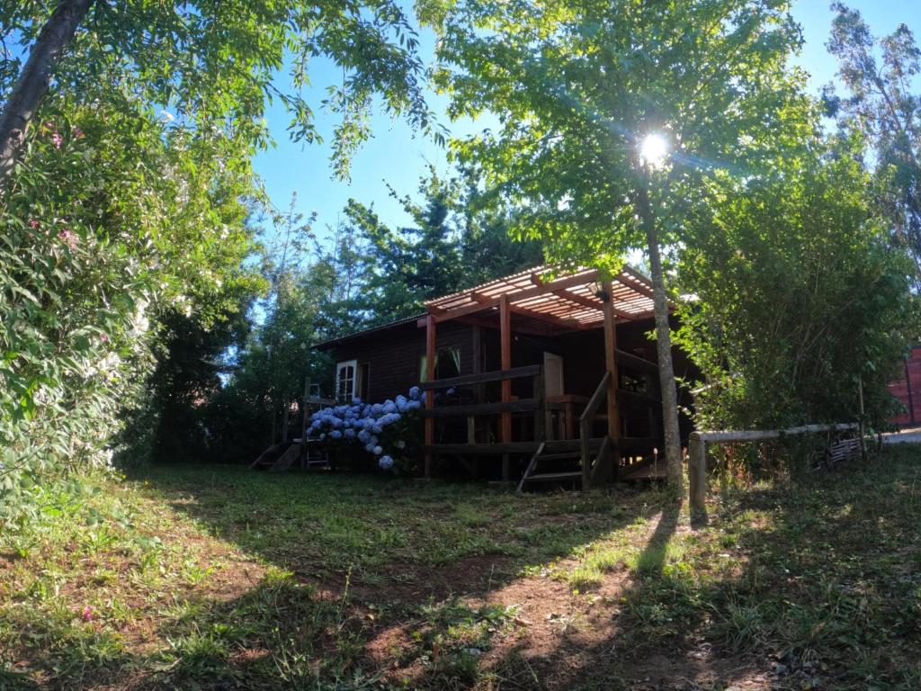 ein Baumhaus mit vielen blauen Luftballons in der Unterkunft Cabañas el rincón de Colbún in Colbún