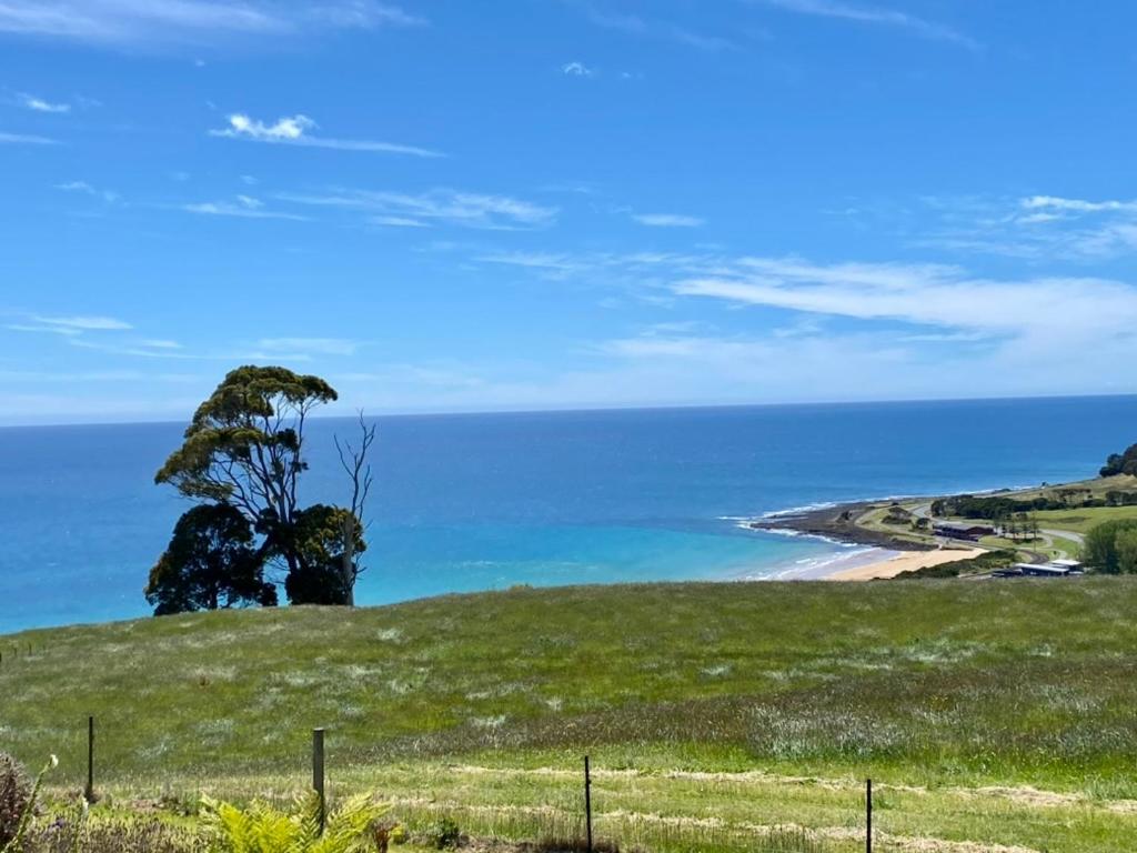 a tree on a hill next to a beach at Penguin Seaside Farm in Penguin