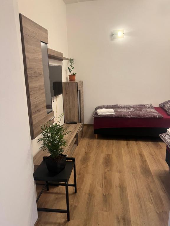 Penzion Mánes - Appartement