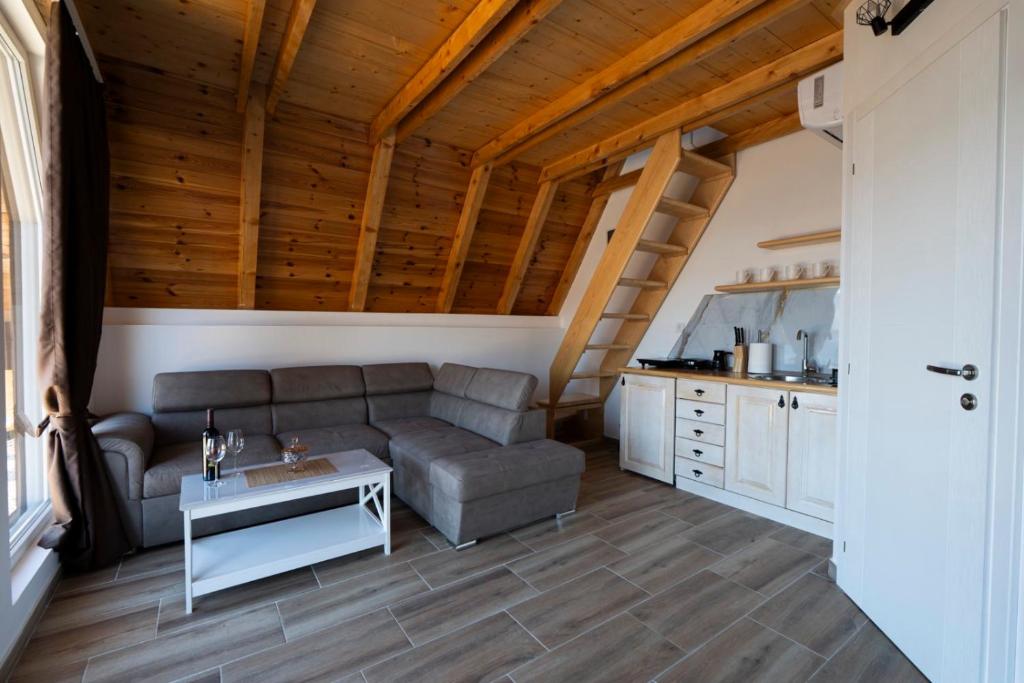 Køkken eller tekøkken på Apartmani Janjusevic