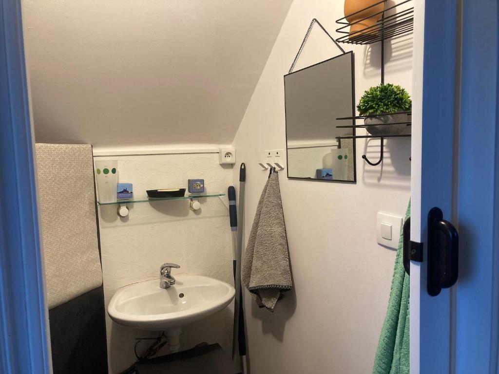 een kleine badkamer met een wastafel en een spiegel bij Chambre dans maison indépendante in Plougastel-Daoulas