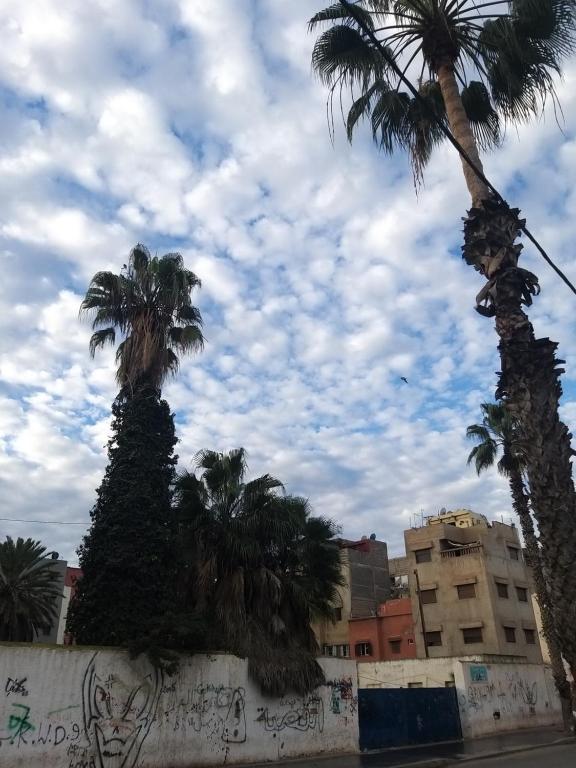 eine Gruppe Palmen und eine Mauer mit Graffiti in der Unterkunft penthouse in Mohammedia
