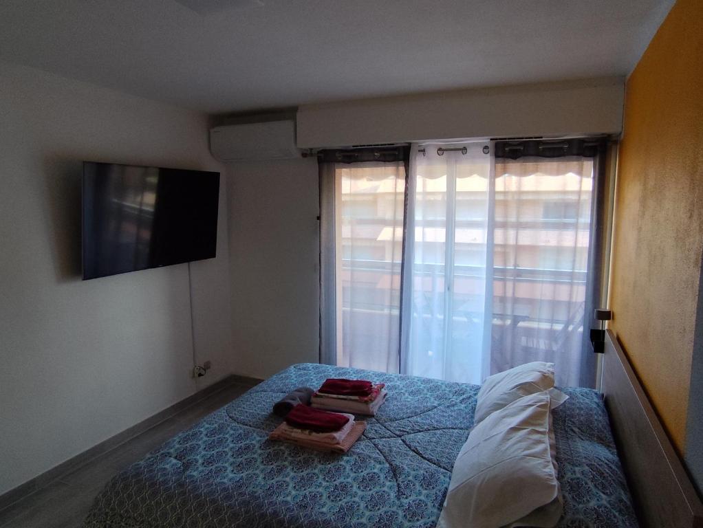 Schlafzimmer mit einem Bett, einem TV und einem Fenster in der Unterkunft Riviera Begonia Appartement - Parking Privé in Roquebrune-Cap-Martin