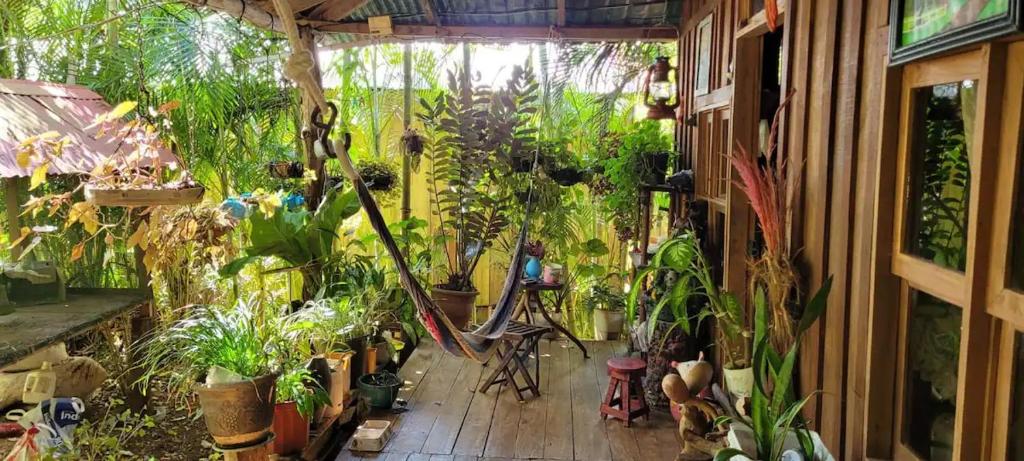 a room filled with lots of plants at Landscape-Cabaña winter full equipada in La Cruz
