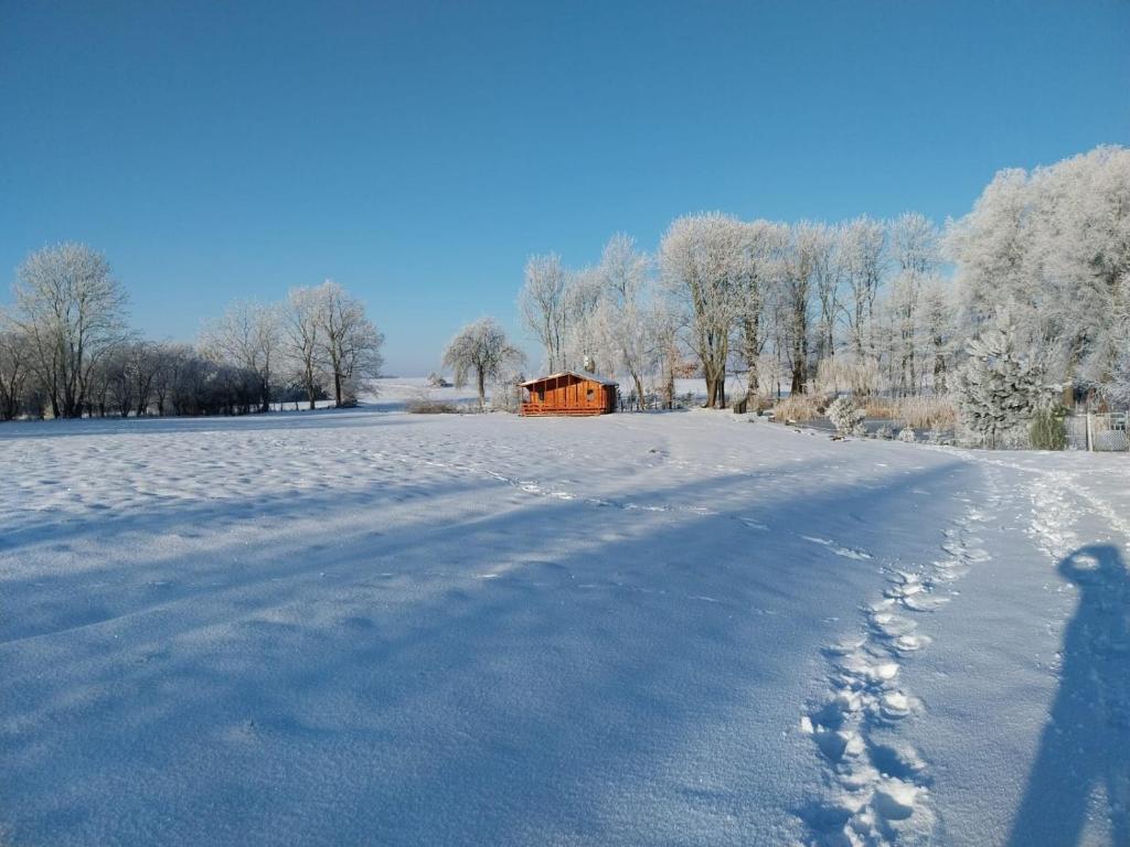 a snow covered field with a house in the distance at Pond Cabin 