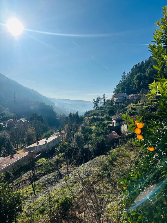 a view from a hill with orange flowers on it at Mountain View Guest House,Geres in Geres