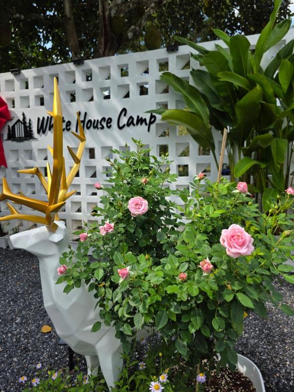 En have udenfor ไวท์ เฮ้าท์ แคมป์ ชะอม