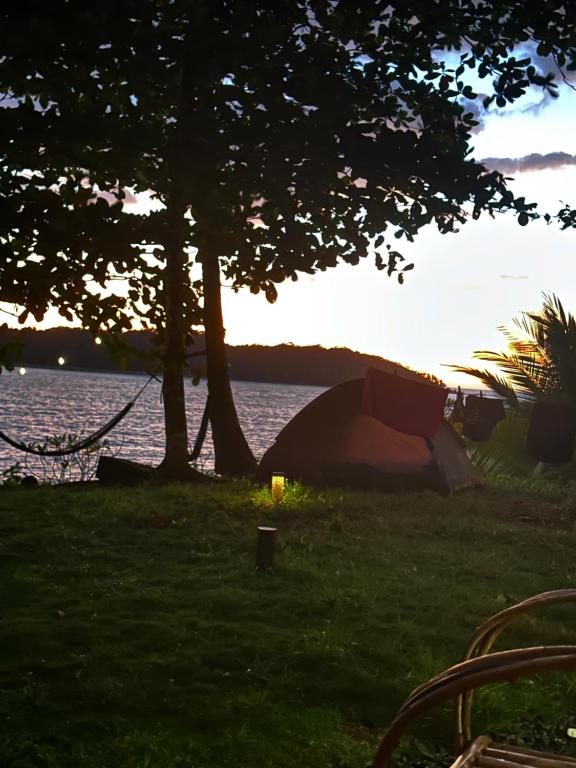 Příroda nedaleko luxury tent