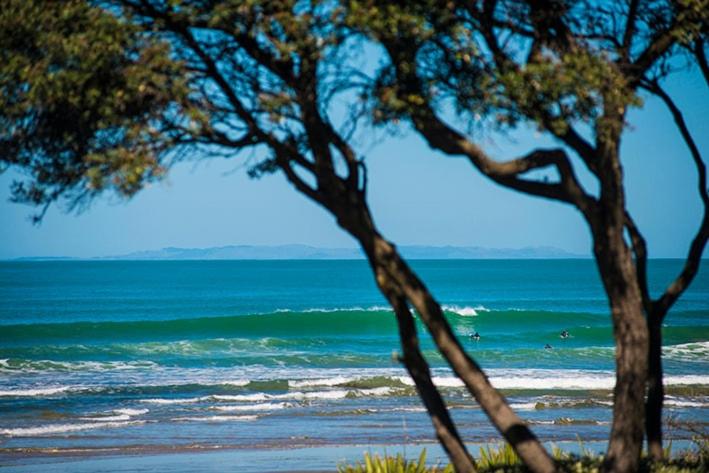 Naturlandskabet i nærheden af lejligheden