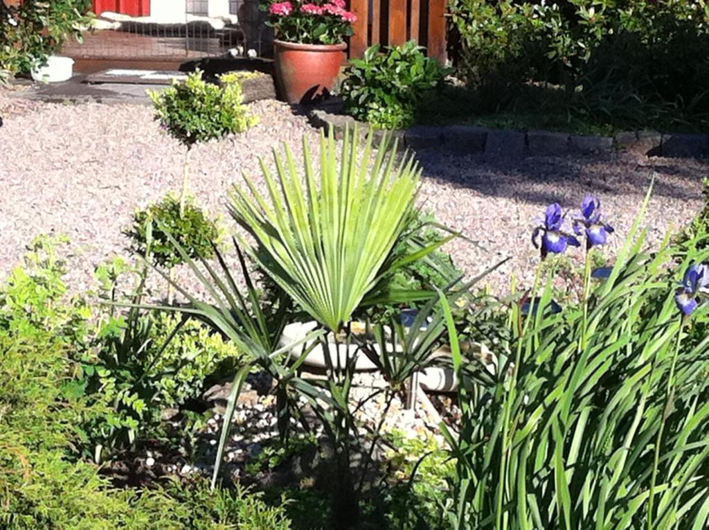 Zahrada ubytování Mattisgården Bed & Breakfast