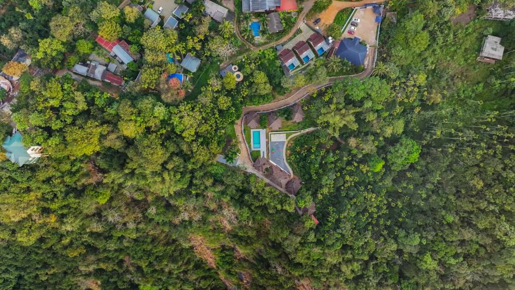 an overhead view of a forest with houses and trees at Rippon Mount Resorts in Meppādi