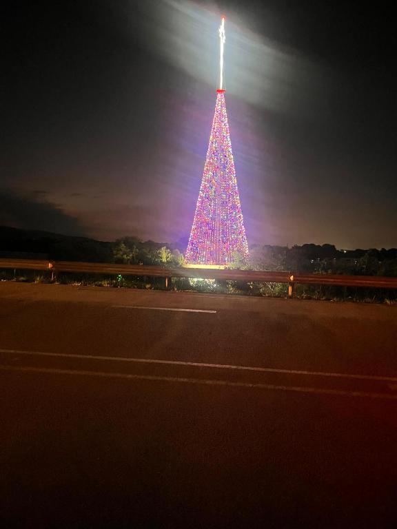 un grande albero di Natale sul ciglio di una strada di Sun city a Pinetown