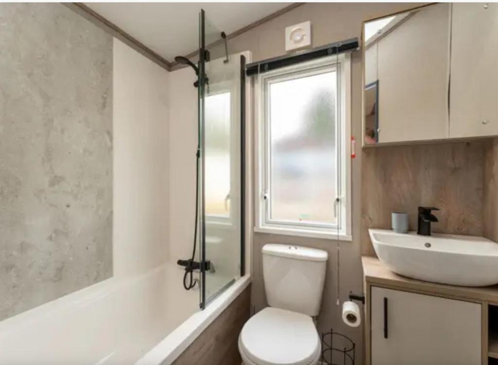 a bathroom with a toilet and a sink at ScottishHighlands in Boat of Garten