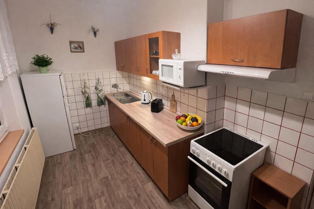 Kuchyň nebo kuchyňský kout v ubytování Vila Šebest