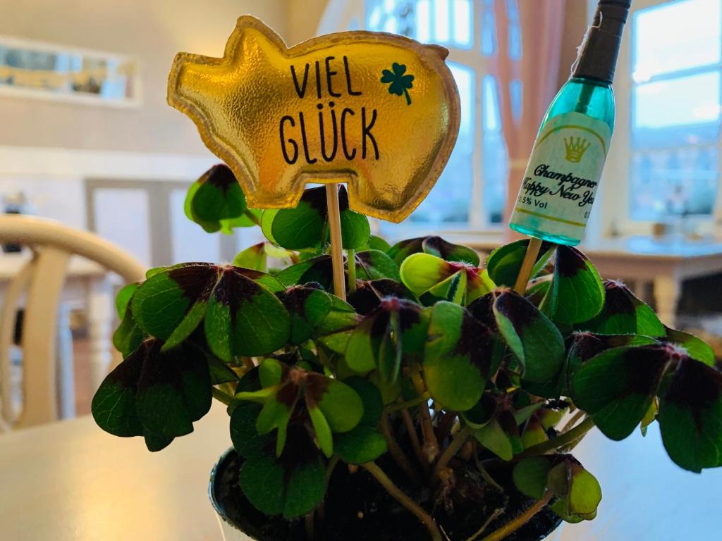 een fles wijn bovenop een plant bij Zum weißen Haus in Schwerin