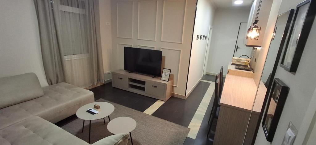 a living room with a couch and a television at APARTMAN studio DADO in Užice