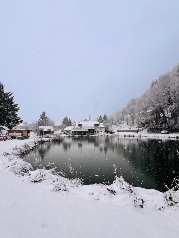 博德森特克Kozjanski dvor的雪覆盖的湖,背景是房子