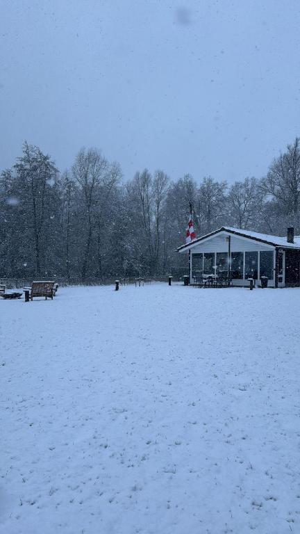 Chalet Achterbosch v zimě