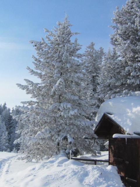 Wirtshaus zum Wiesejaggl v zimě