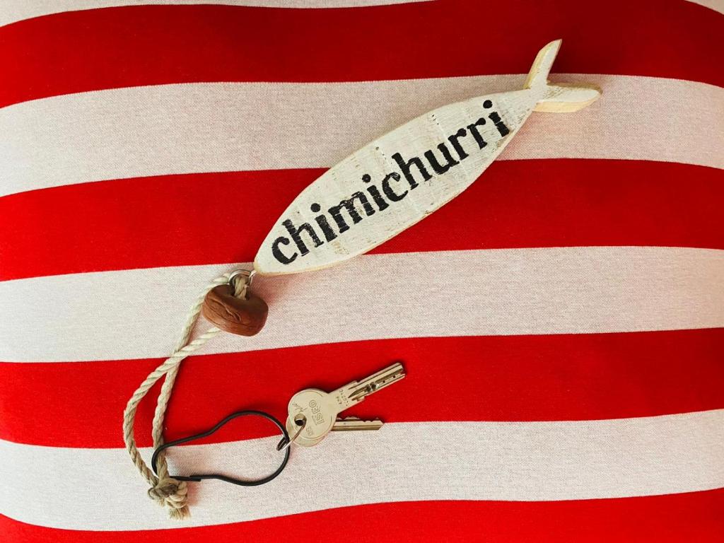 a toy fish and a key on an american flag at Lupicante 56 Cesenatico in Cesenatico