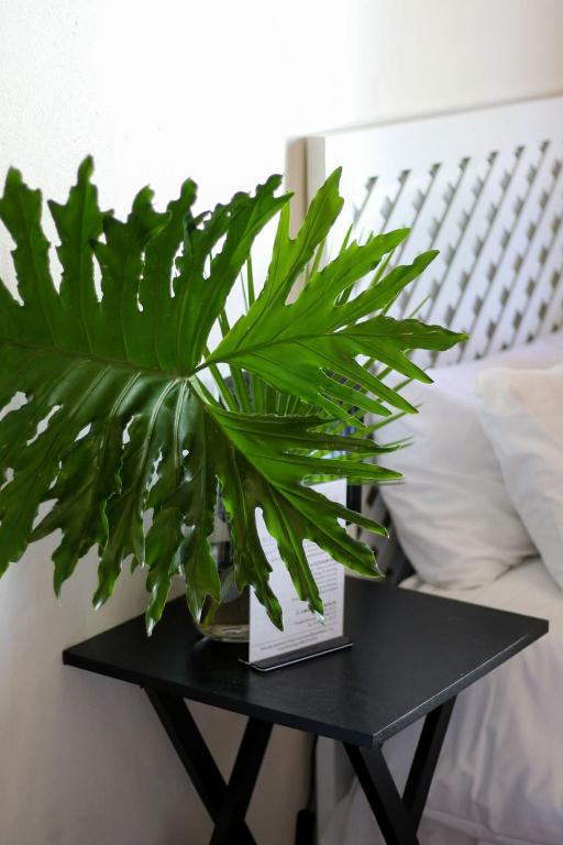a green plant on a black table next to a bed at Palm La Vie in Worcester