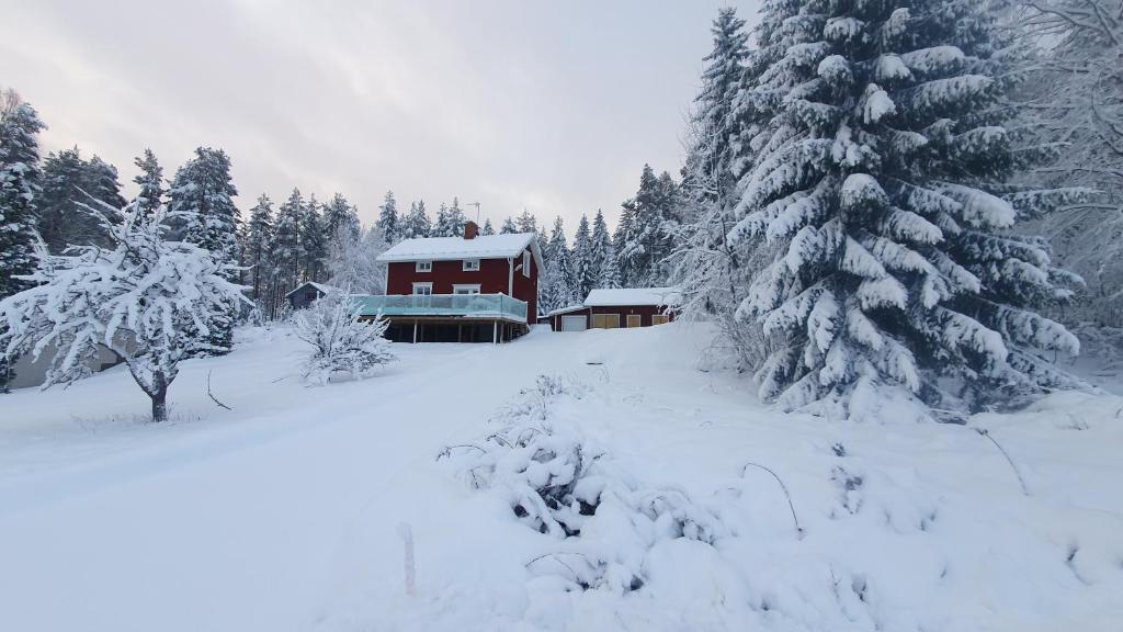 un fienile rosso nella neve accanto a un pino di Lottefors Logi a Bollnäs
