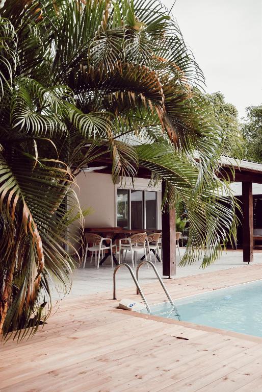a pool with chairs and a palm tree next to a house at Villa Massy in Rivière-Salée