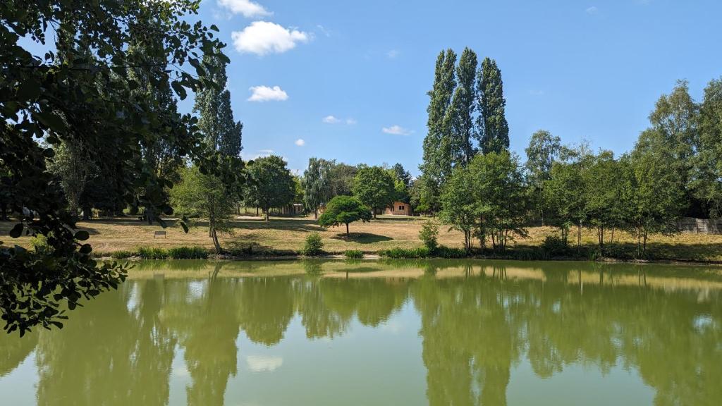 a view of a pond in a park at Camping Les Rochelles in Prunay-Cassereau