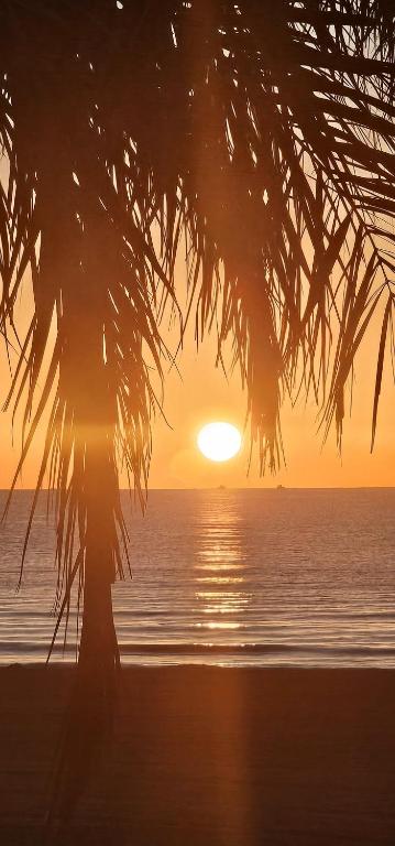 Torrevieja Playa
