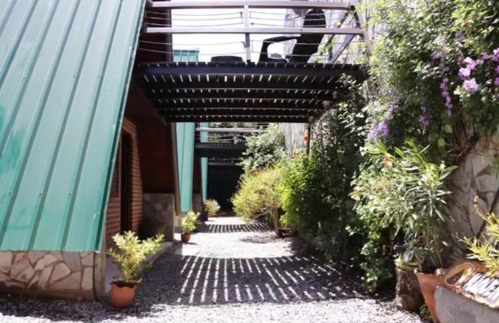 een loopbrug met planten aan de zijkant van een gebouw bij Alpinasmaquen in Puerto Quequén