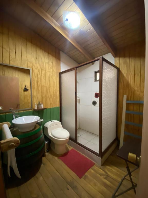 een badkamer met een douche, een toilet en een wastafel bij Viña Don Heraldo in De Cauquenes